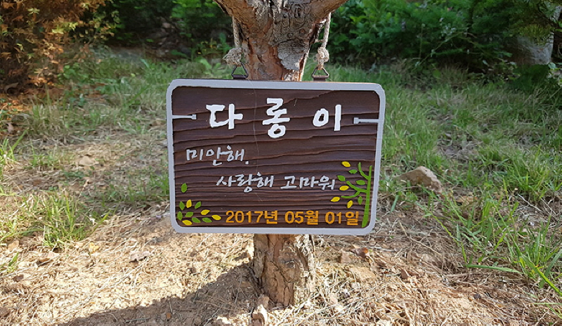 갤러리 이미지 14