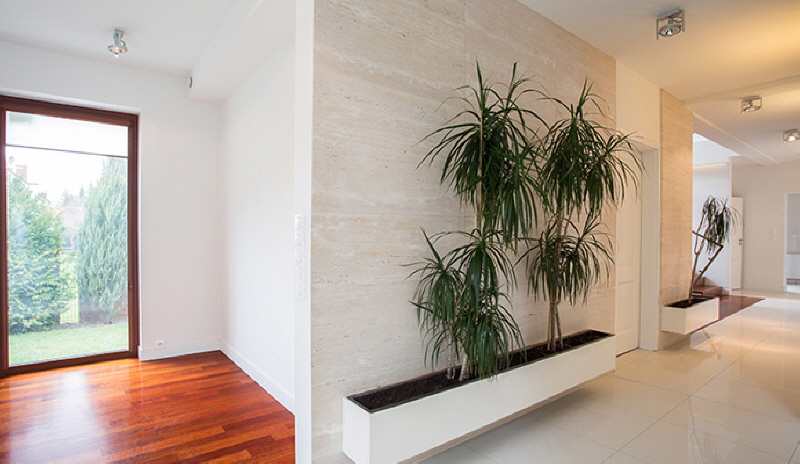 갤러리 이미지 2