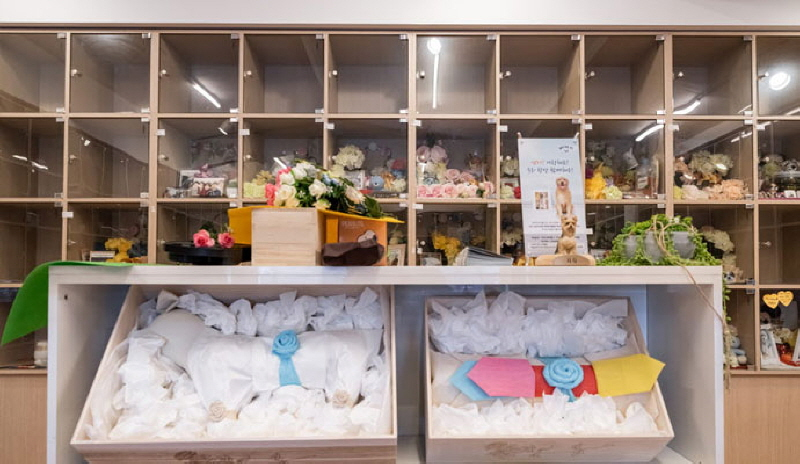 갤러리 이미지 8